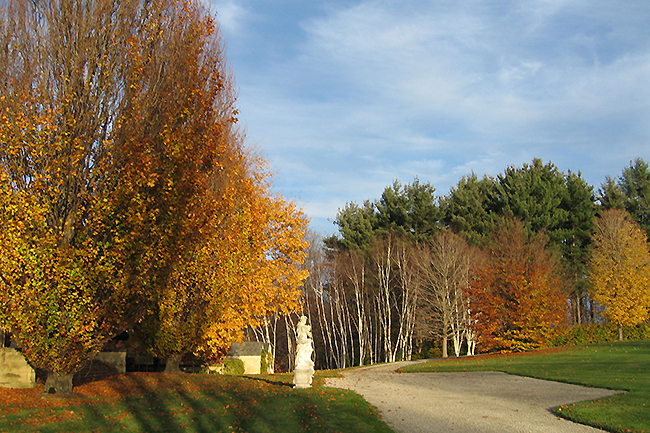 Digging Deeper: An Autumn Afternoon with Linda Allard